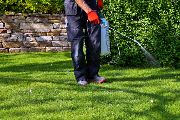 Emergency Pest Control in Meridian, CO